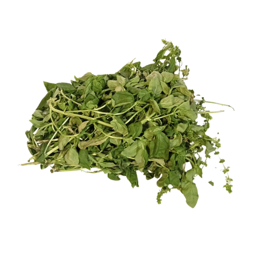 Basil Leaves - Fresh