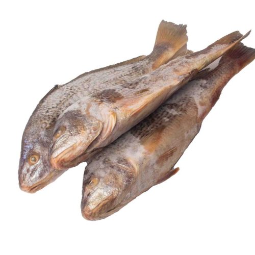 Fish - Croaker