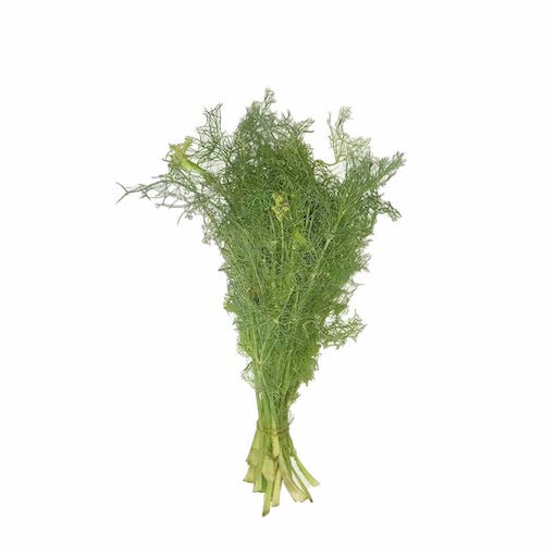 Dill