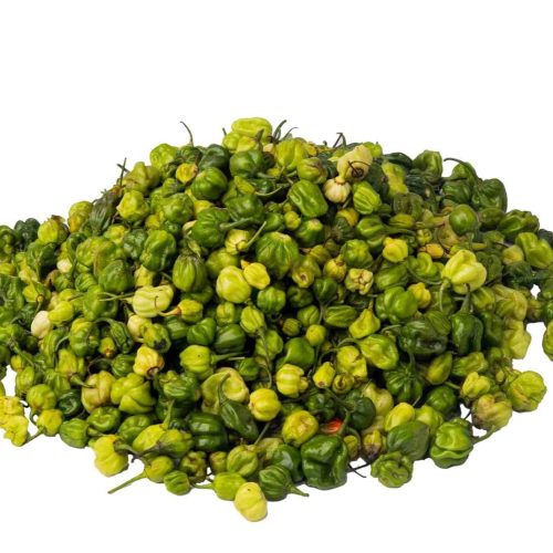 Green Ata Rodo