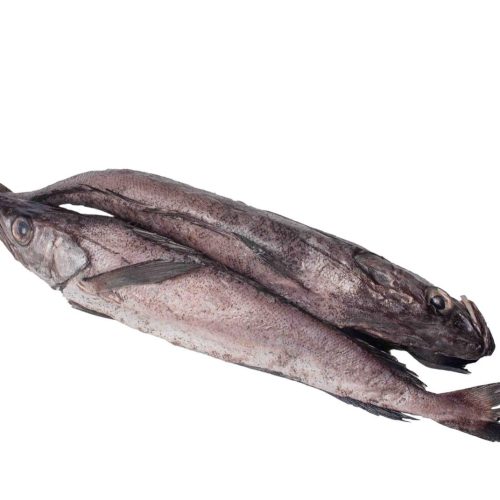 Fish - Hake