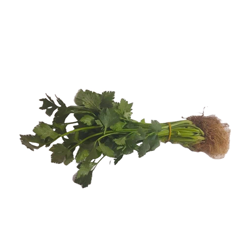 Celery - Native