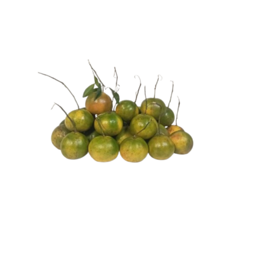 Tangerine - Local (Semi-ripe)