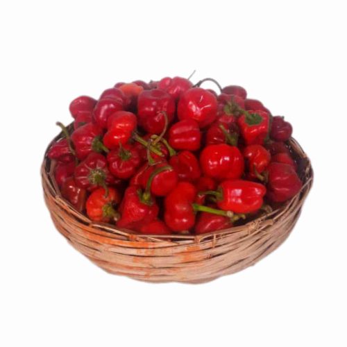 Pepper - Tatase Grade B