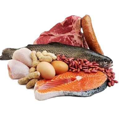 Proteins & Seafood