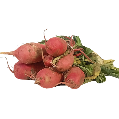 Radish - Red