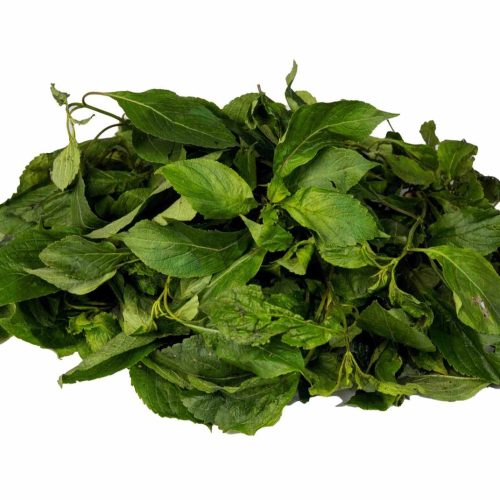 Scent Leaf (Clove Basil)