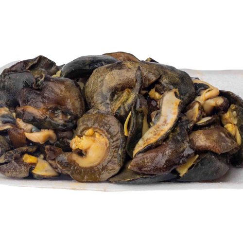 Snails (Jumbo)