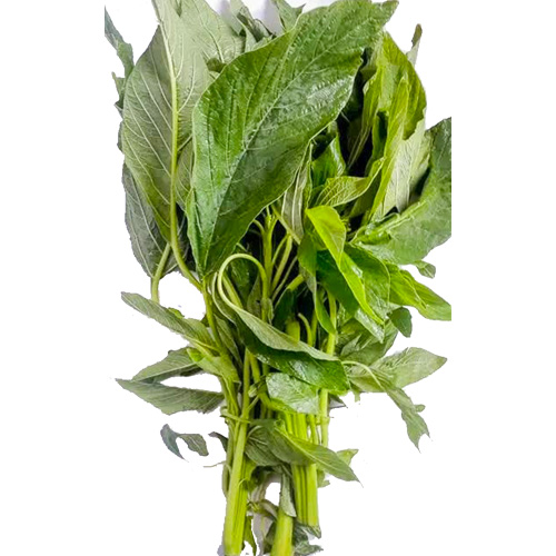 Spinach - Aleho