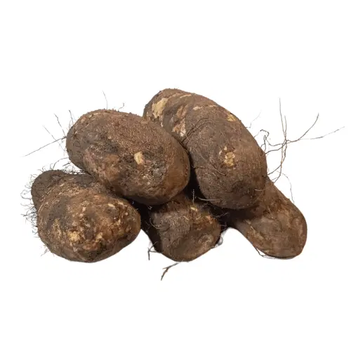 Yam - Benue (Medium)
