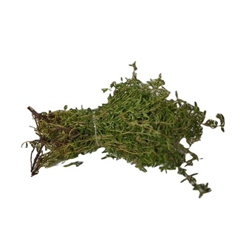 Curry Leaf