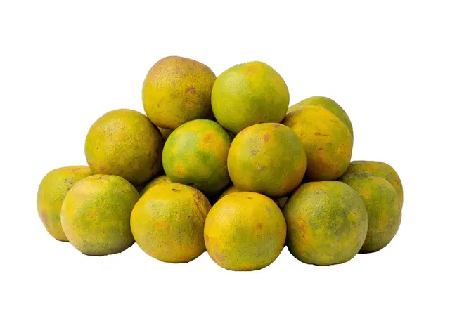 Orange - Semi-ripe (Small)
