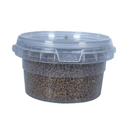 Fenugreek Seed