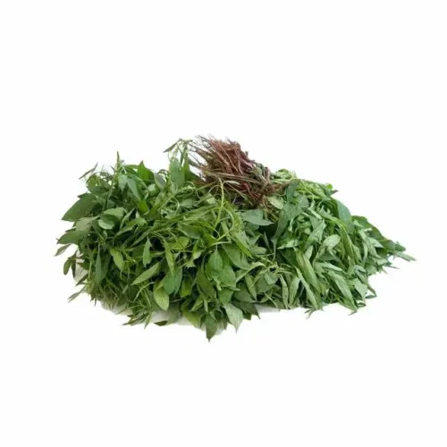 Efo Shoko - Agric