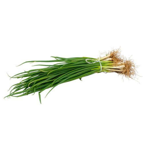 Spring Onion